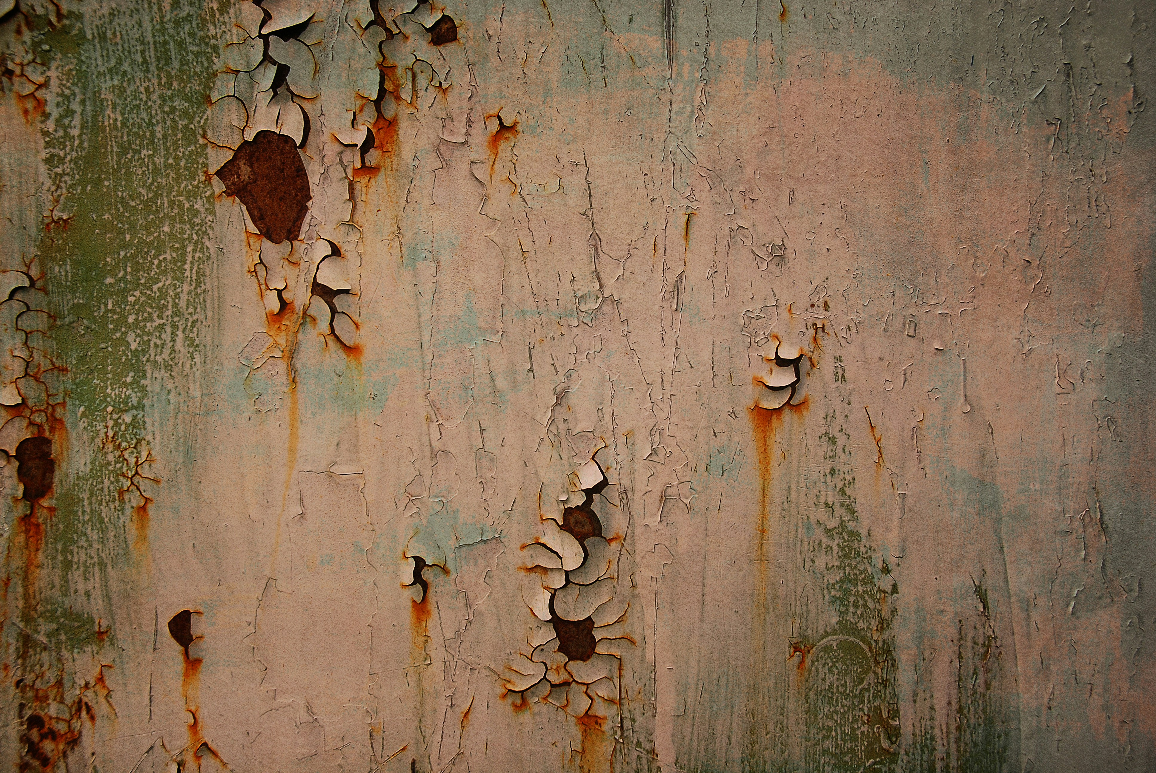 Photo by kovalskihelga