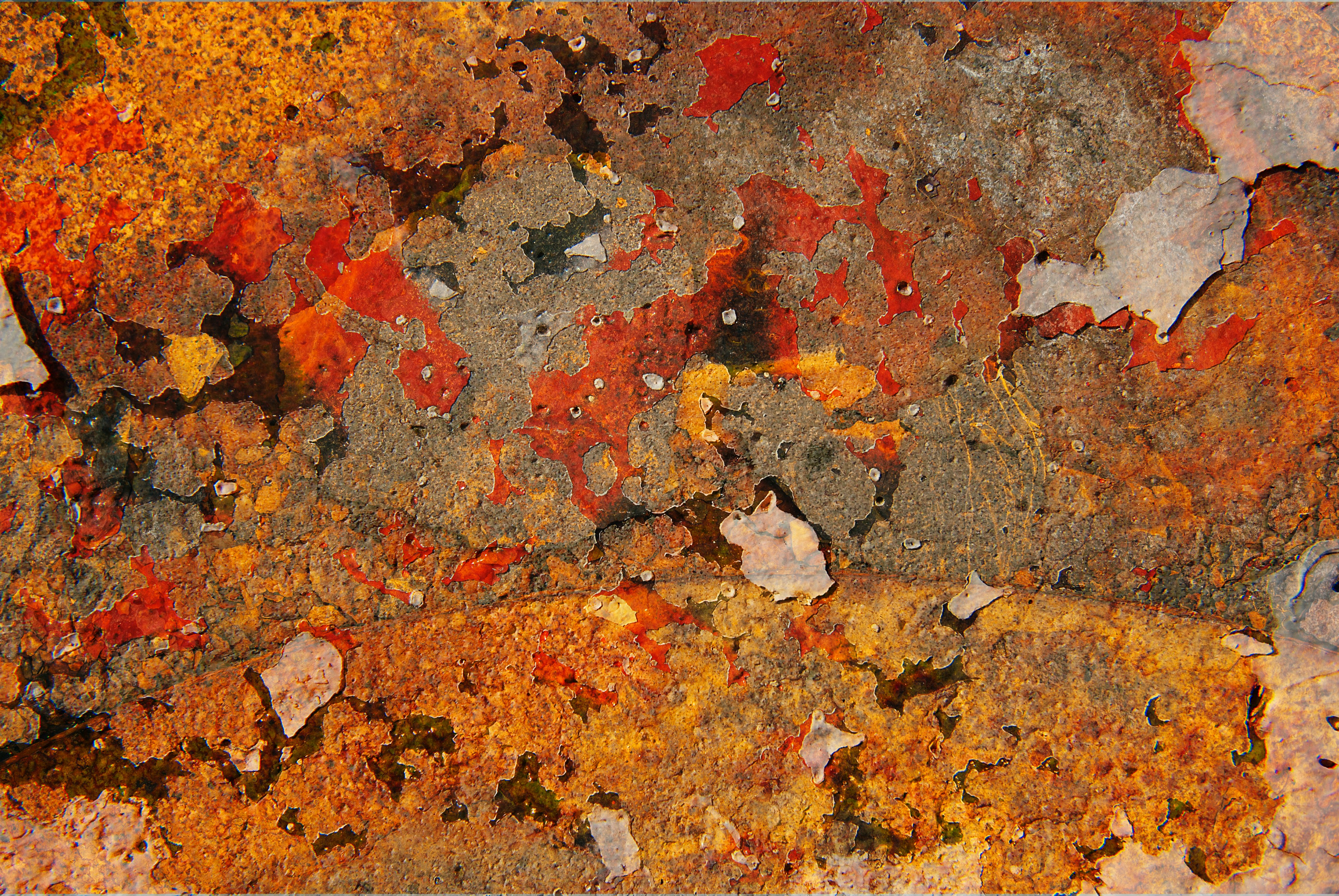 Photo by kovalskihelga