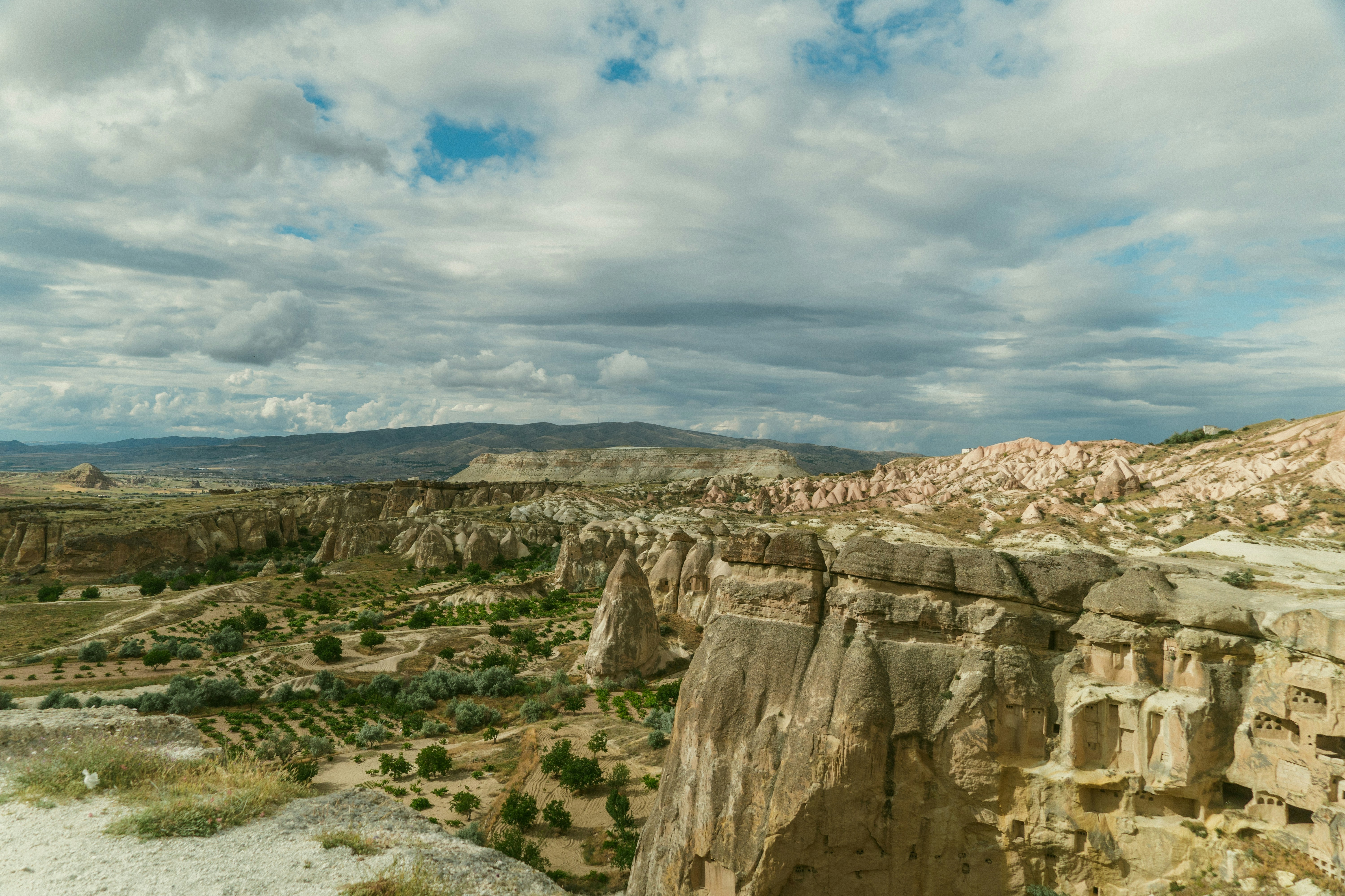 Photo by slava_arkhipenko