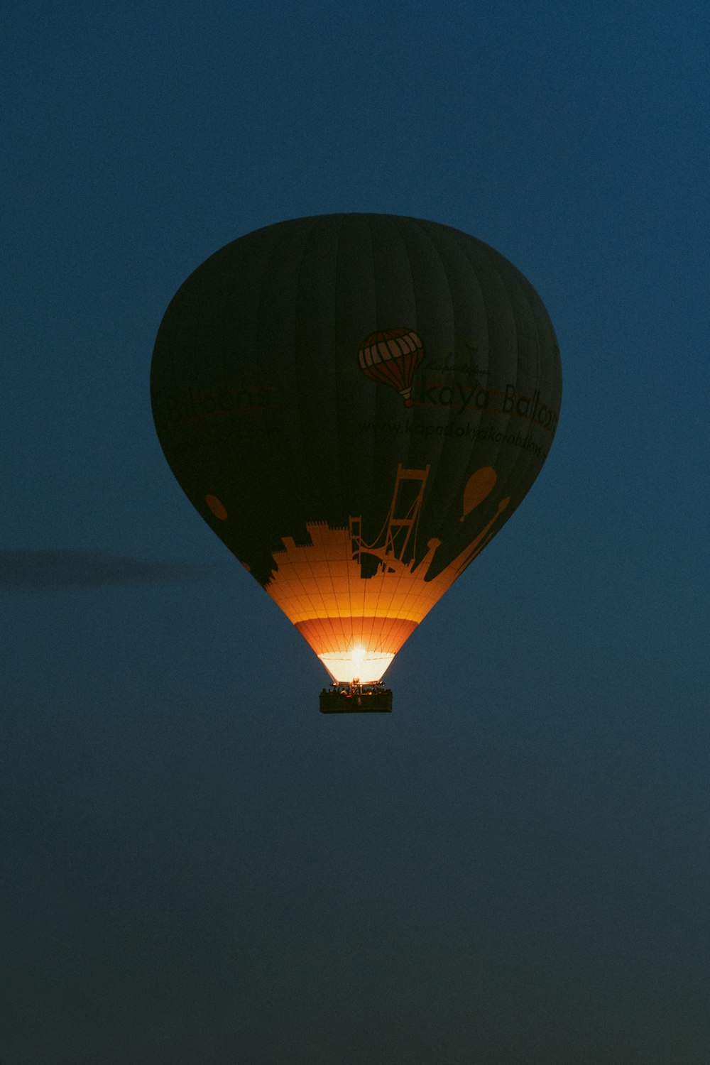 a hot air balloon in the sky