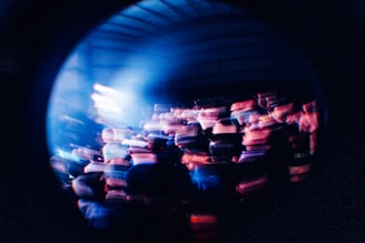 A striking snapshot of a recent political rally bathed in cool blue tones, highlighting the energy of the crowd.