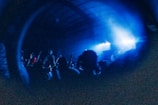 In a dimly lit indoor setting, silhouettes of people are visible, with their arms raised, seemingly enjoying a lively music event. The scene is bathed in vibrant blue lighting, creating an energetic and immersive atmosphere.