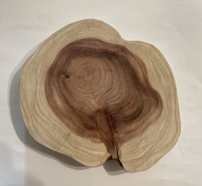 A cross-section of a tree trunk showing intricate growth rings, with variations of brown and beige colors indicating the wood's age and texture.