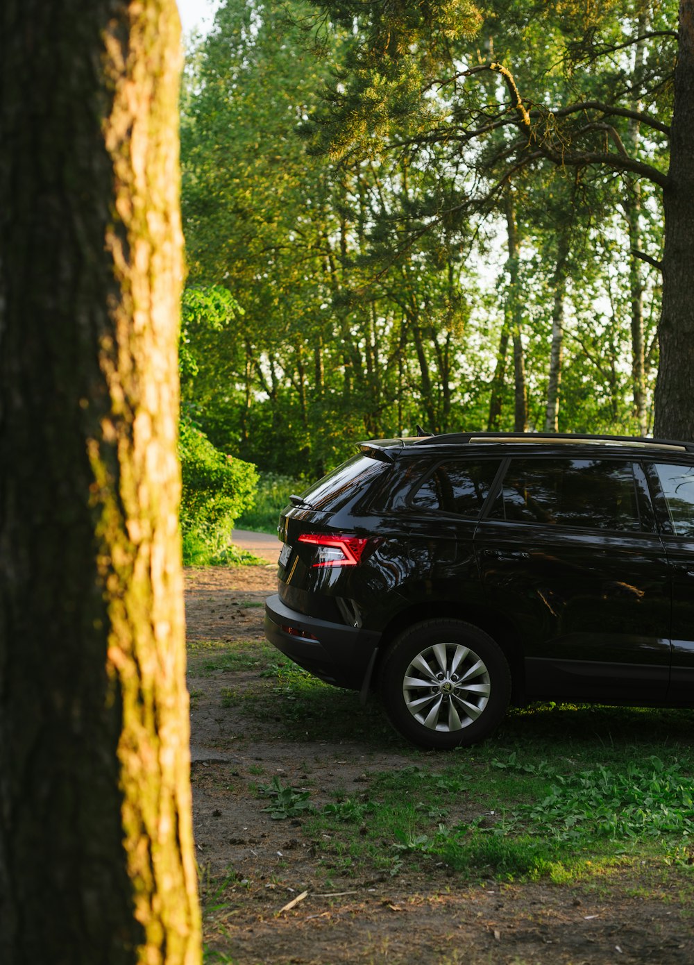 a car parked in a wooded area