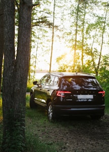 Elektrinis SUV