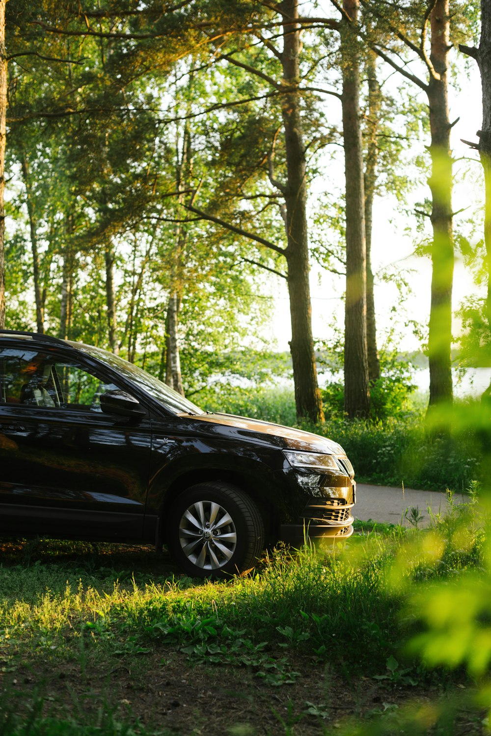 a black car parked in a forest