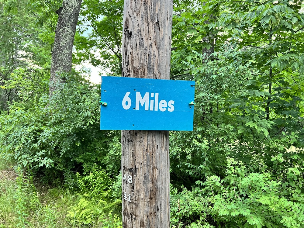 a blue sign on a tree