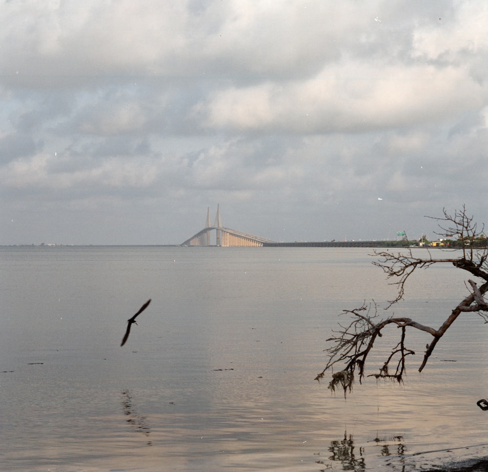 a large bridge over a body of water