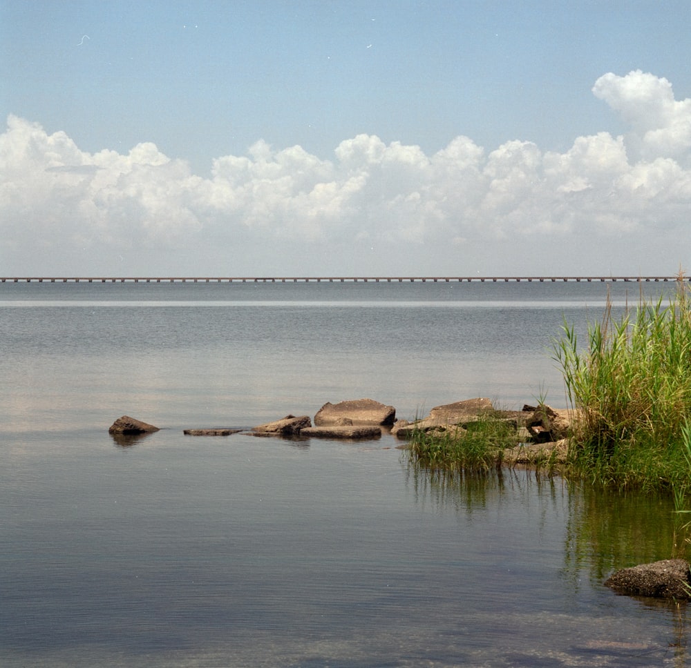 a body of water with rocks and plants on the side