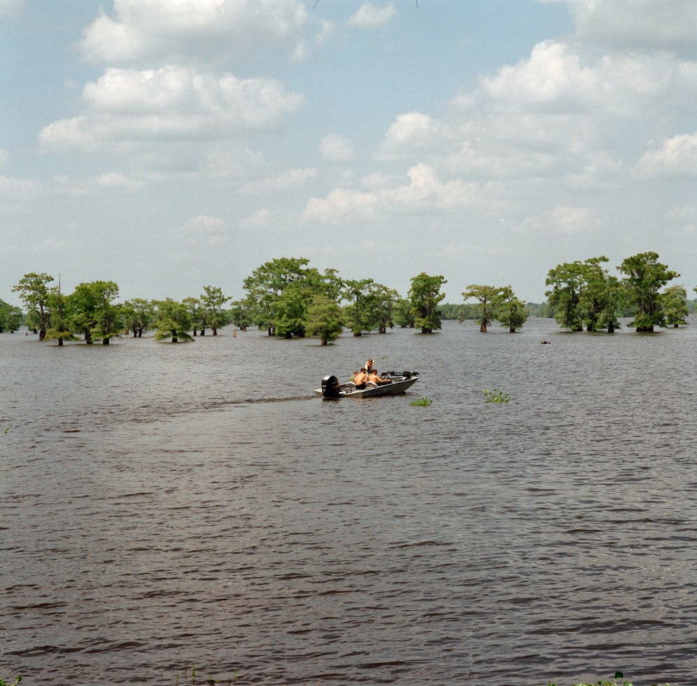 a group of people rowing a boat