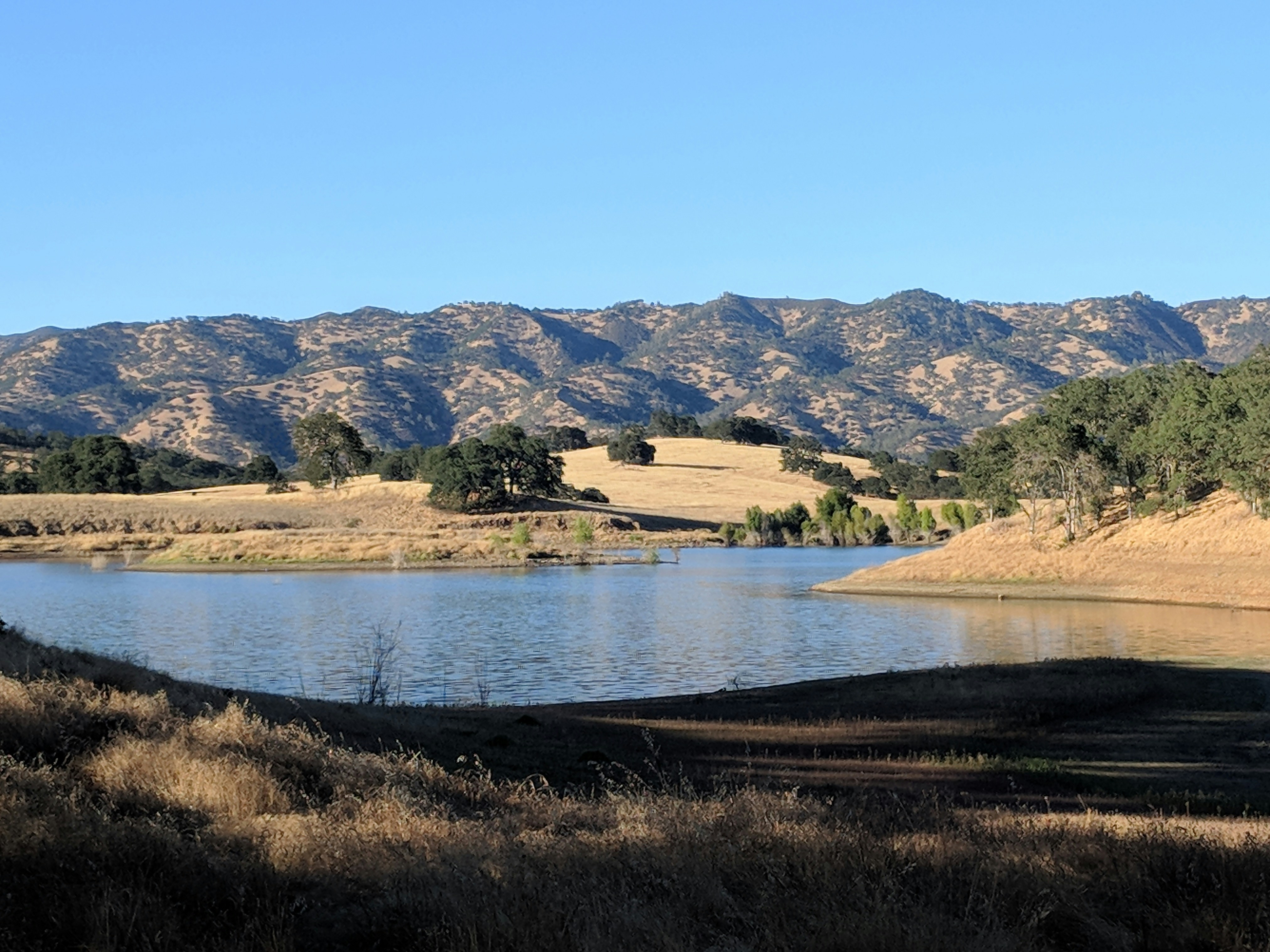 Photo by thiagorobert