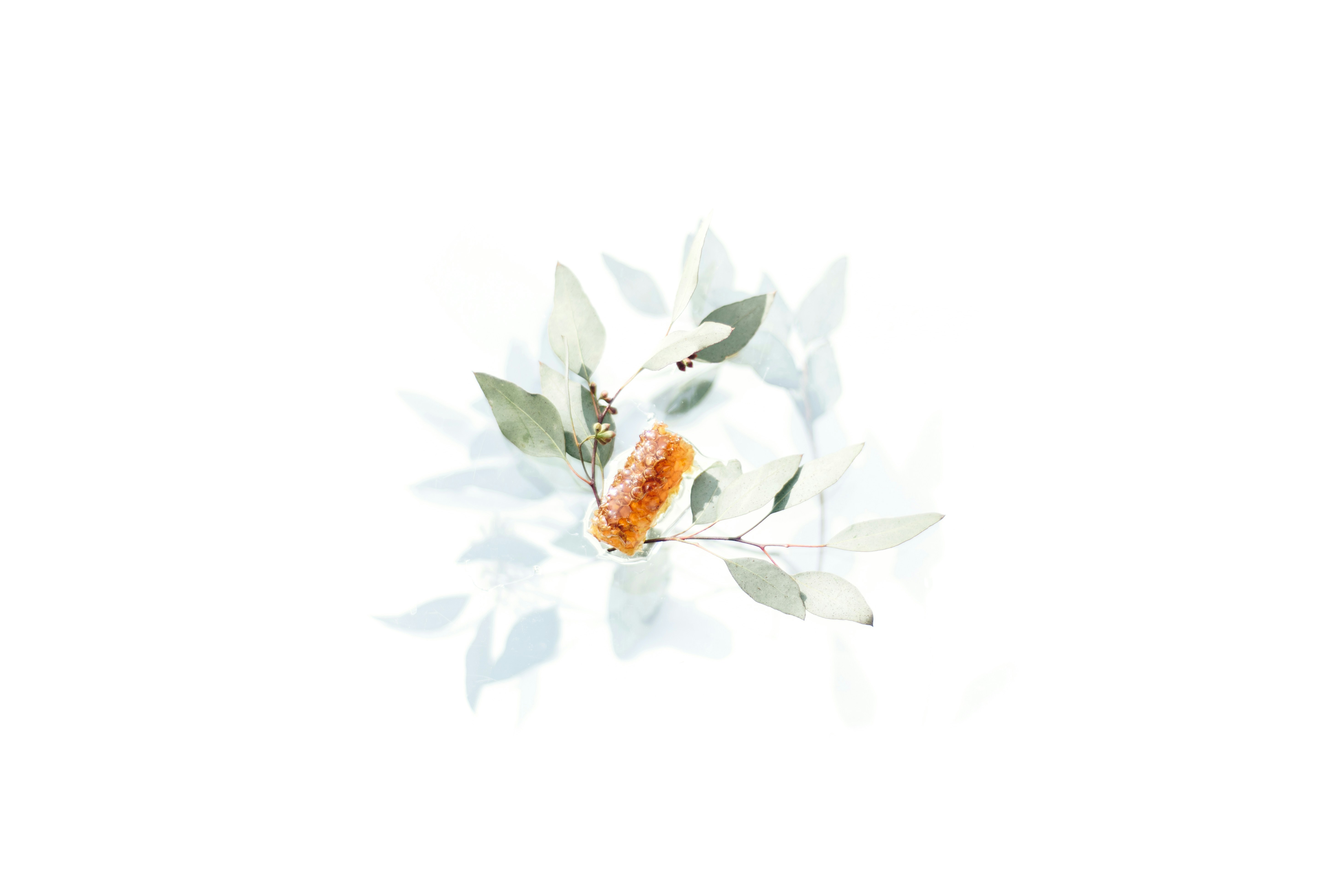 Photo by evieshaffer