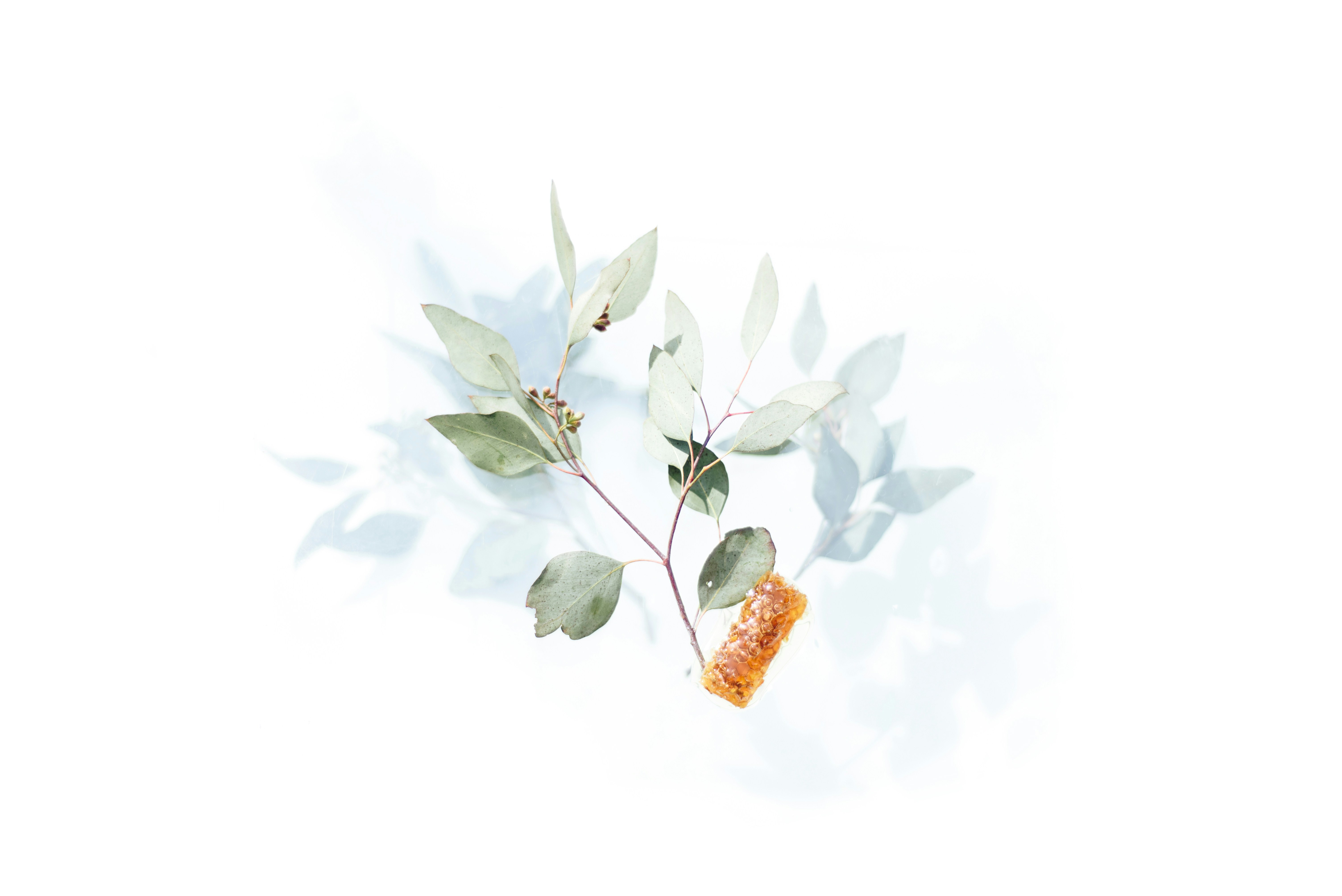 Photo by evieshaffer