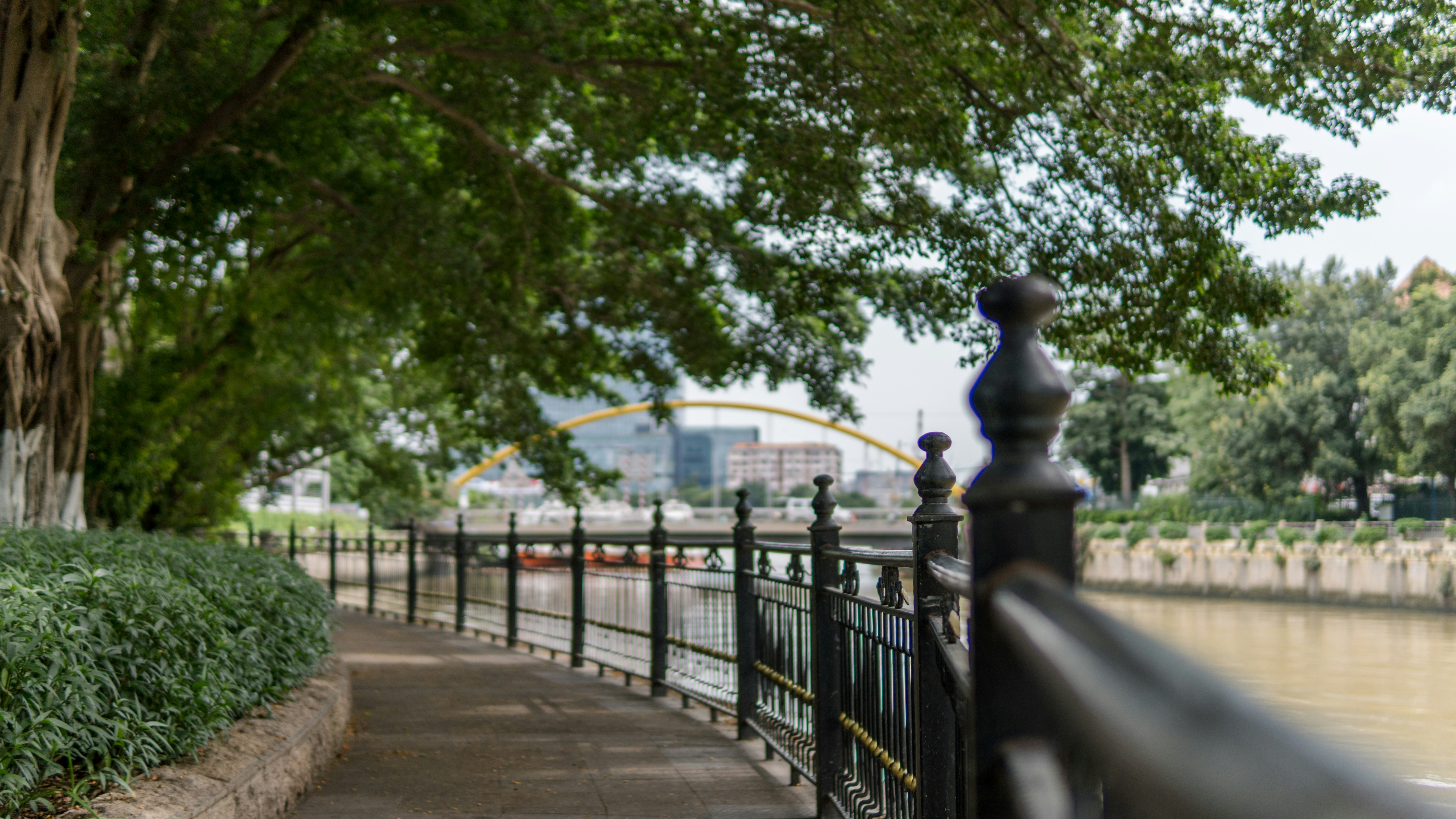 Stevie D's Riverside Tavern