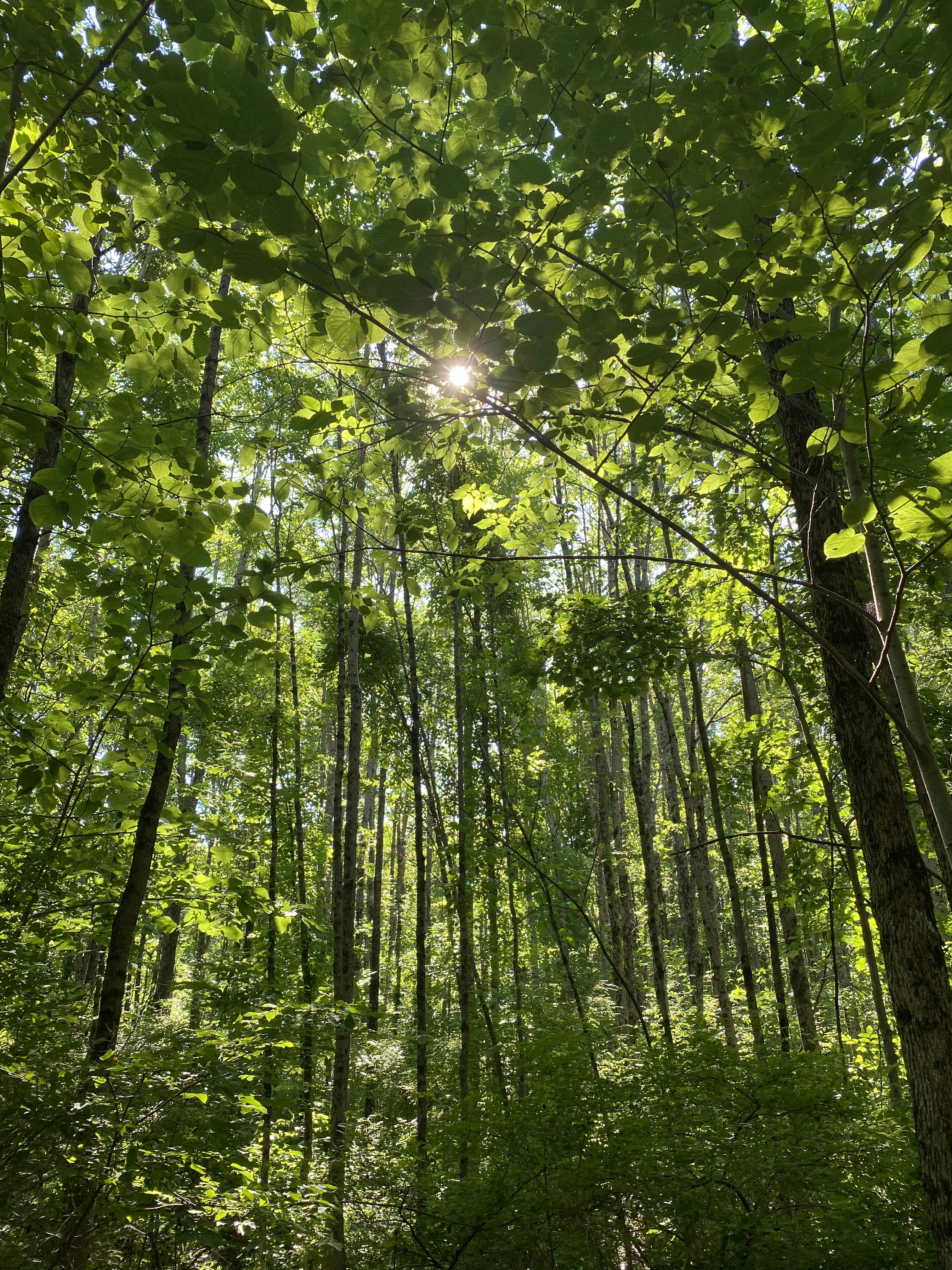 Photo by griffy_port