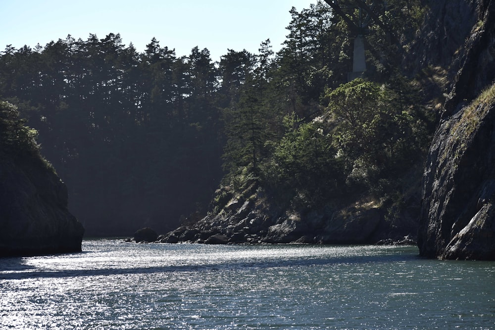 a body of water with trees on the side