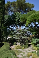 A beautifully manicured garden path is surrounded by a variety of lush green trees and shrubs. The stone pathway is bordered by carefully trimmed bushes and decorative grass. Tall trees in the background stretch towards a clear blue sky, while a distinctively pruned bonsai tree stands prominently in the middle.