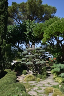A beautifully manicured garden path is surrounded by a variety of lush green trees and shrubs. The stone pathway is bordered by carefully trimmed bushes and decorative grass. Tall trees in the background stretch towards a clear blue sky, while a distinctively pruned bonsai tree stands prominently in the middle.