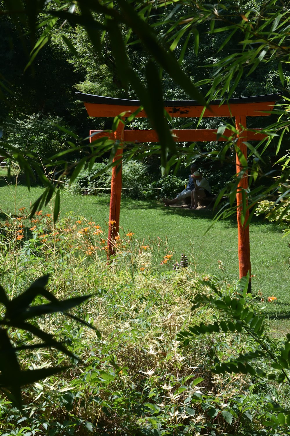 a person sitting in a grassy area