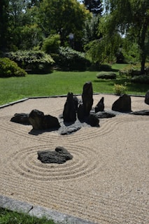 a group of rocks in a park