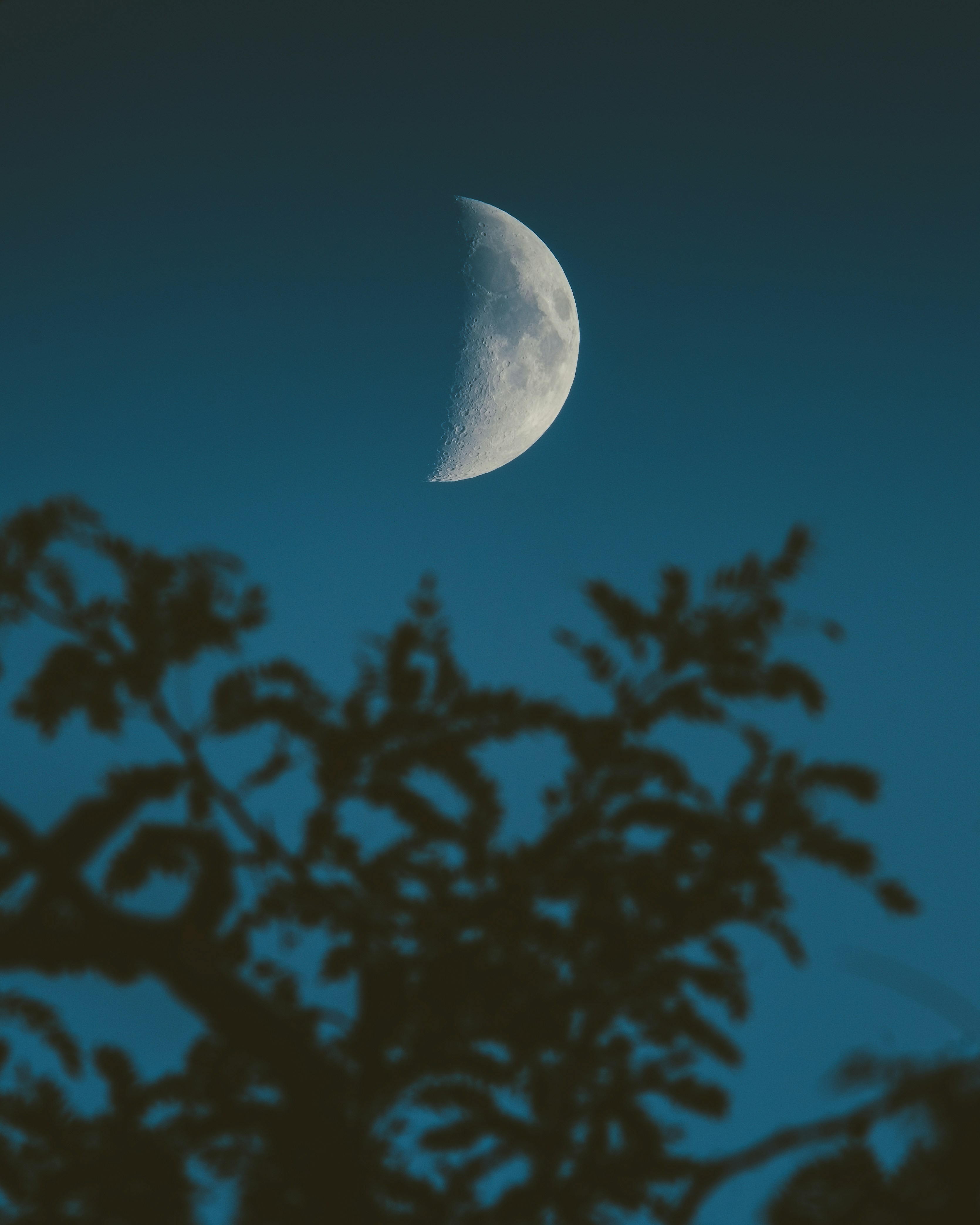 Photo by sopuresocold