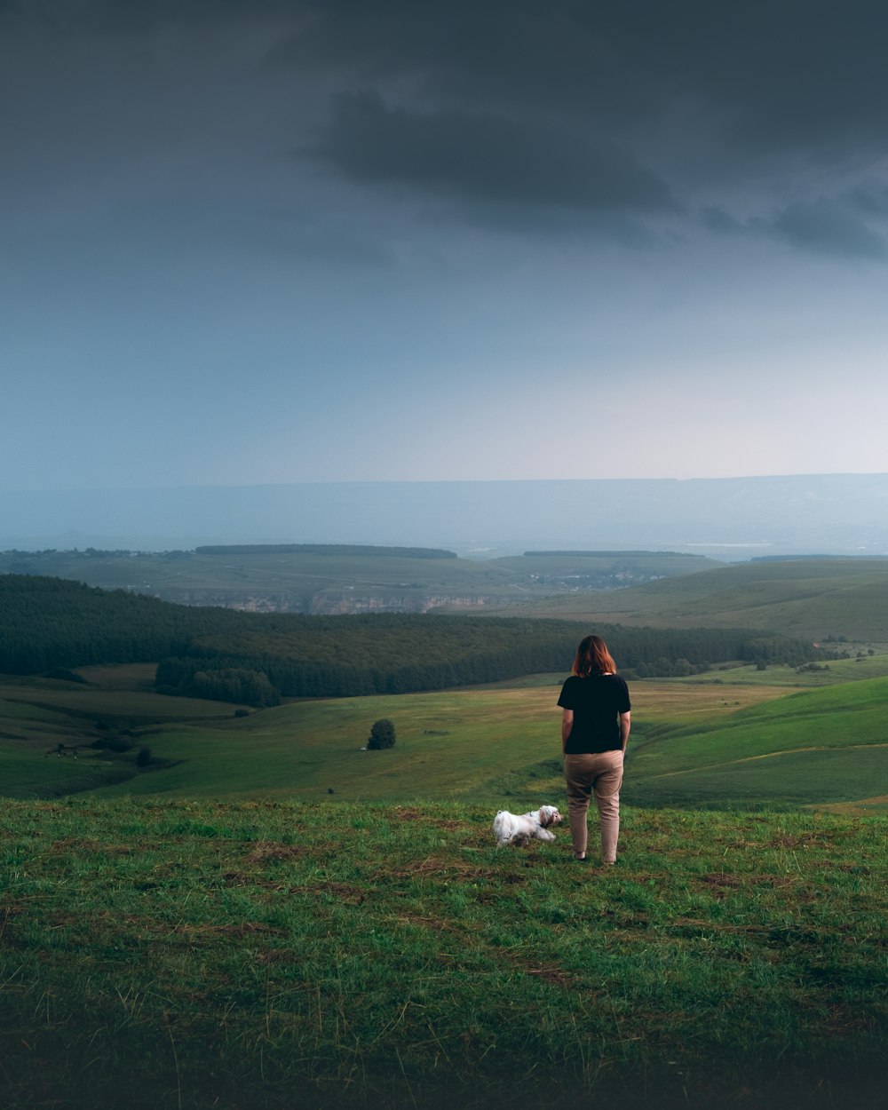 a person and a dog on a grassy hill overlooking a valley