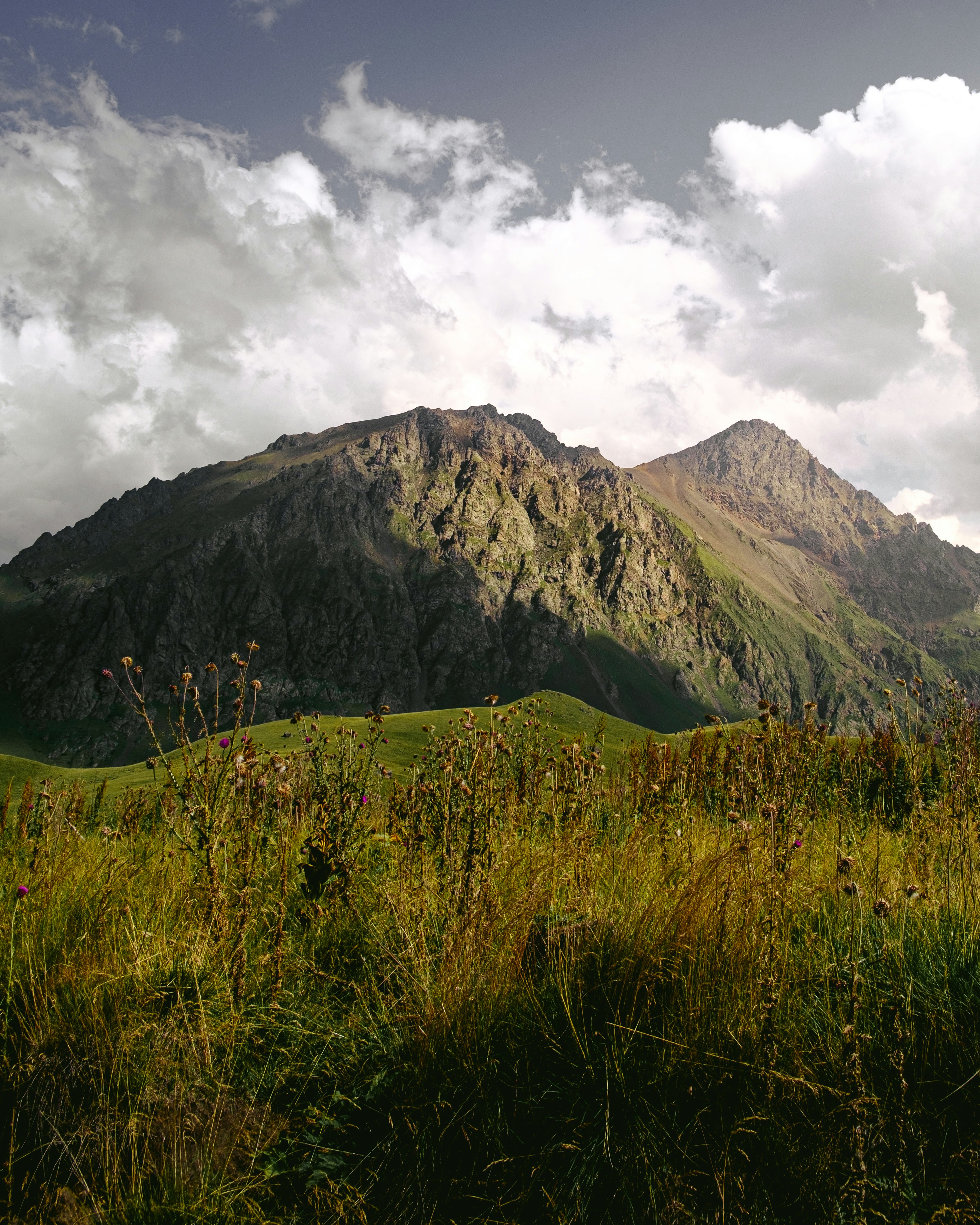 Photo by sopuresocold