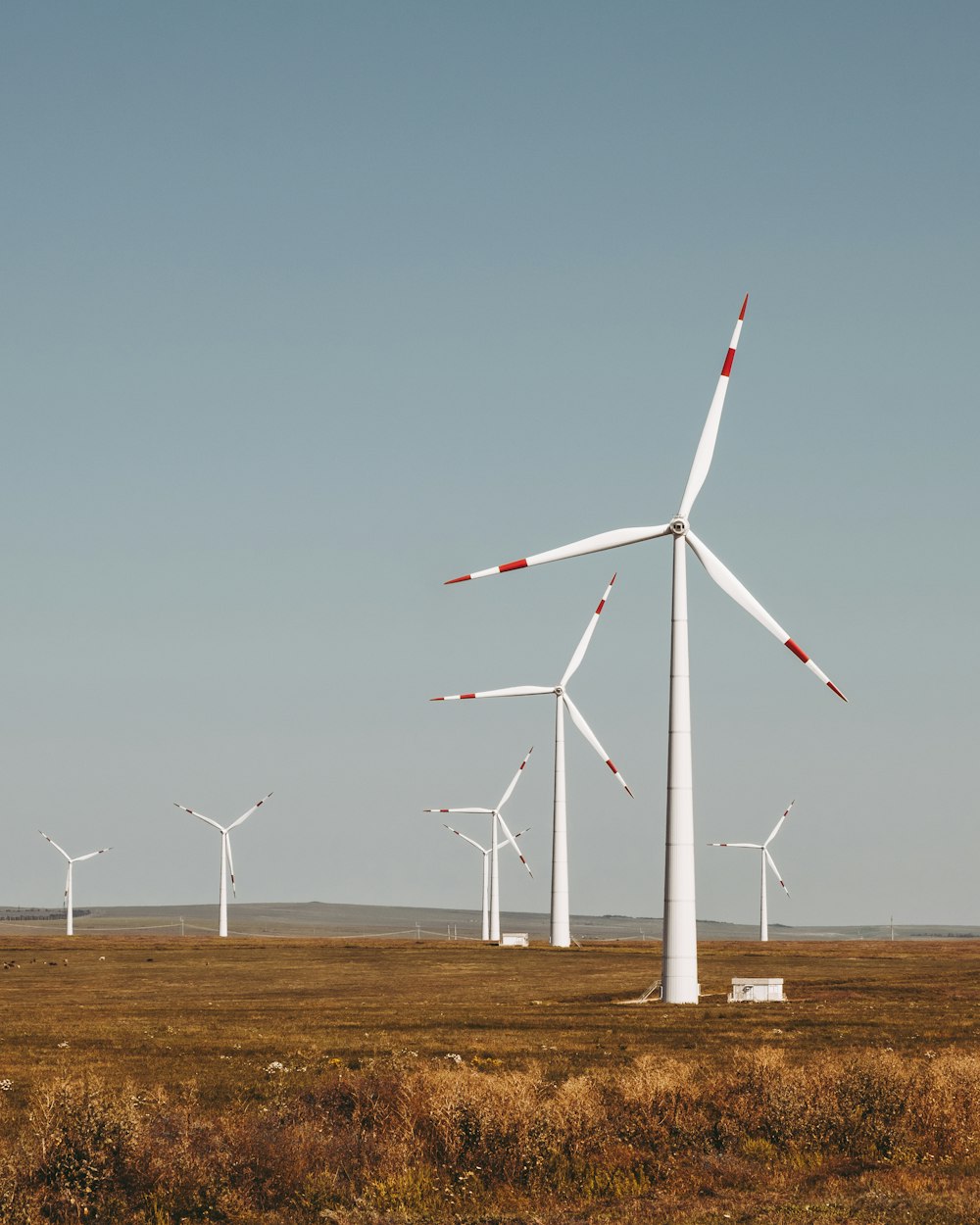 a group of wind turbines