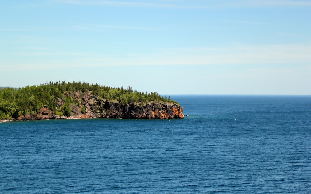 a small island with trees