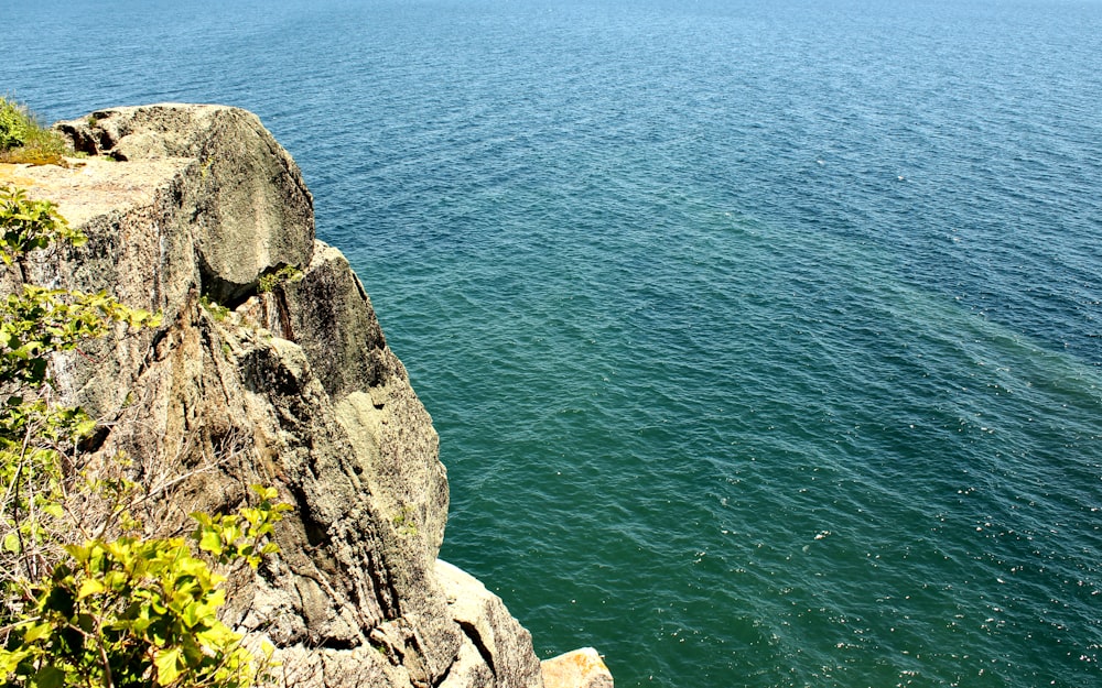 a cliff overlooking the ocean