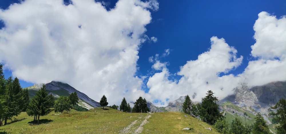 a landscape with trees and mountains