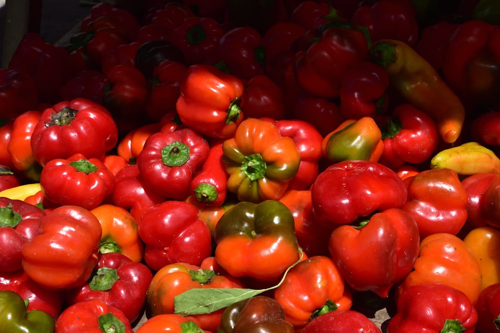 a pile of red peppers