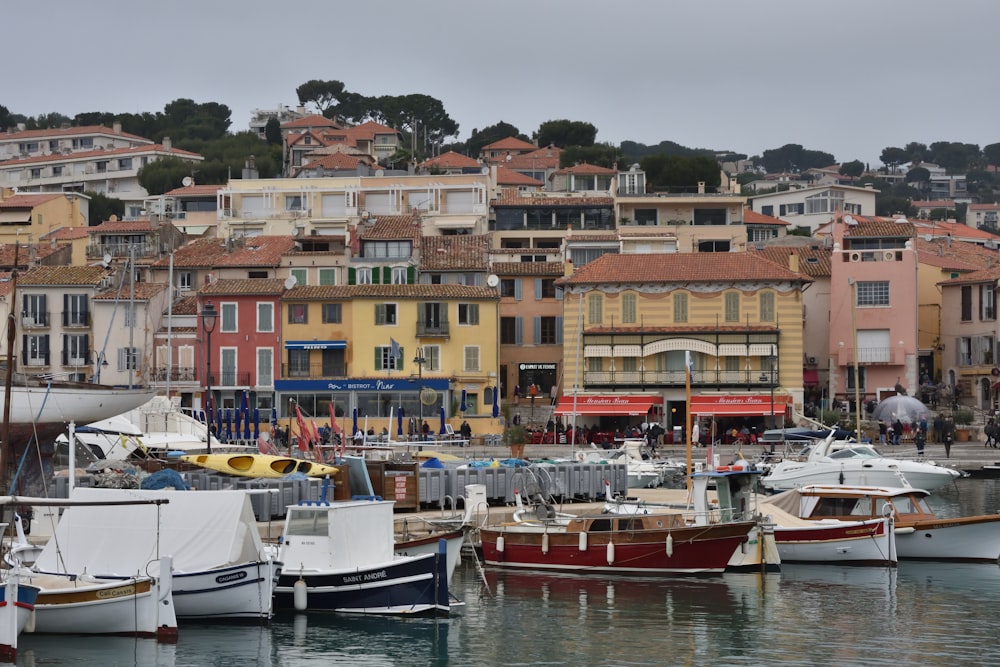 boats in a harbor