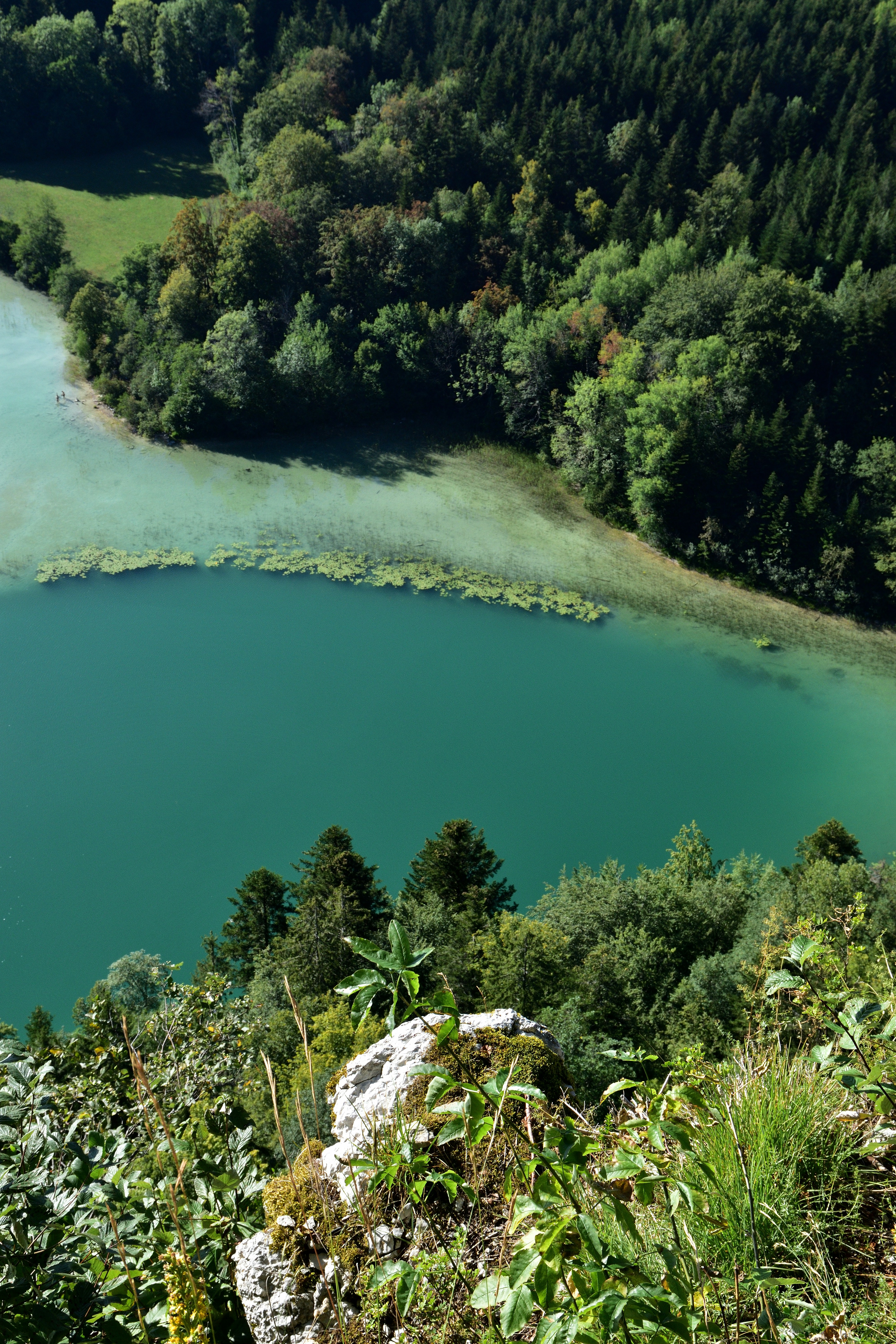 Photo by bertrand1212