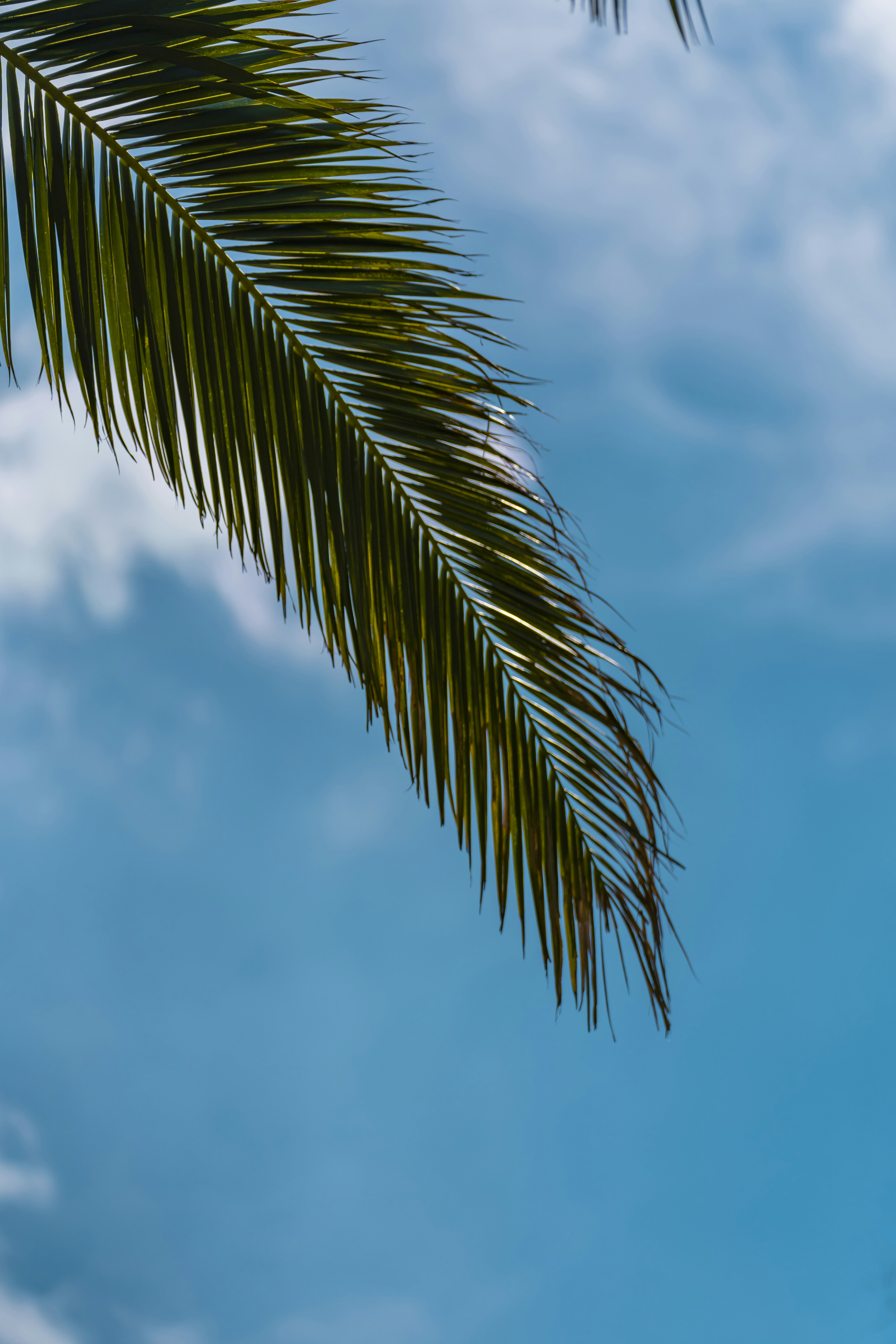 Photo by husien_bisky1