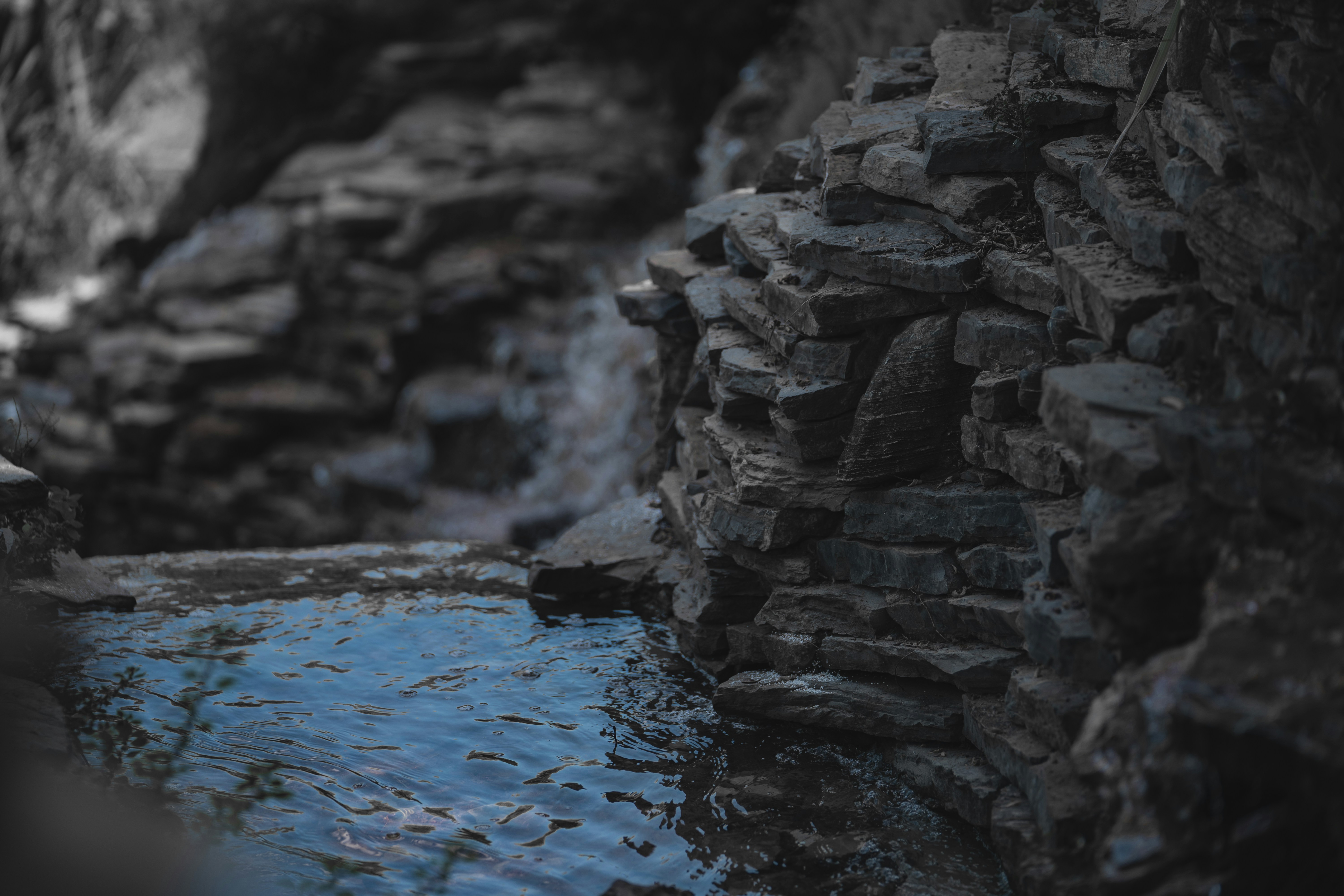 Photo by husien_bisky1