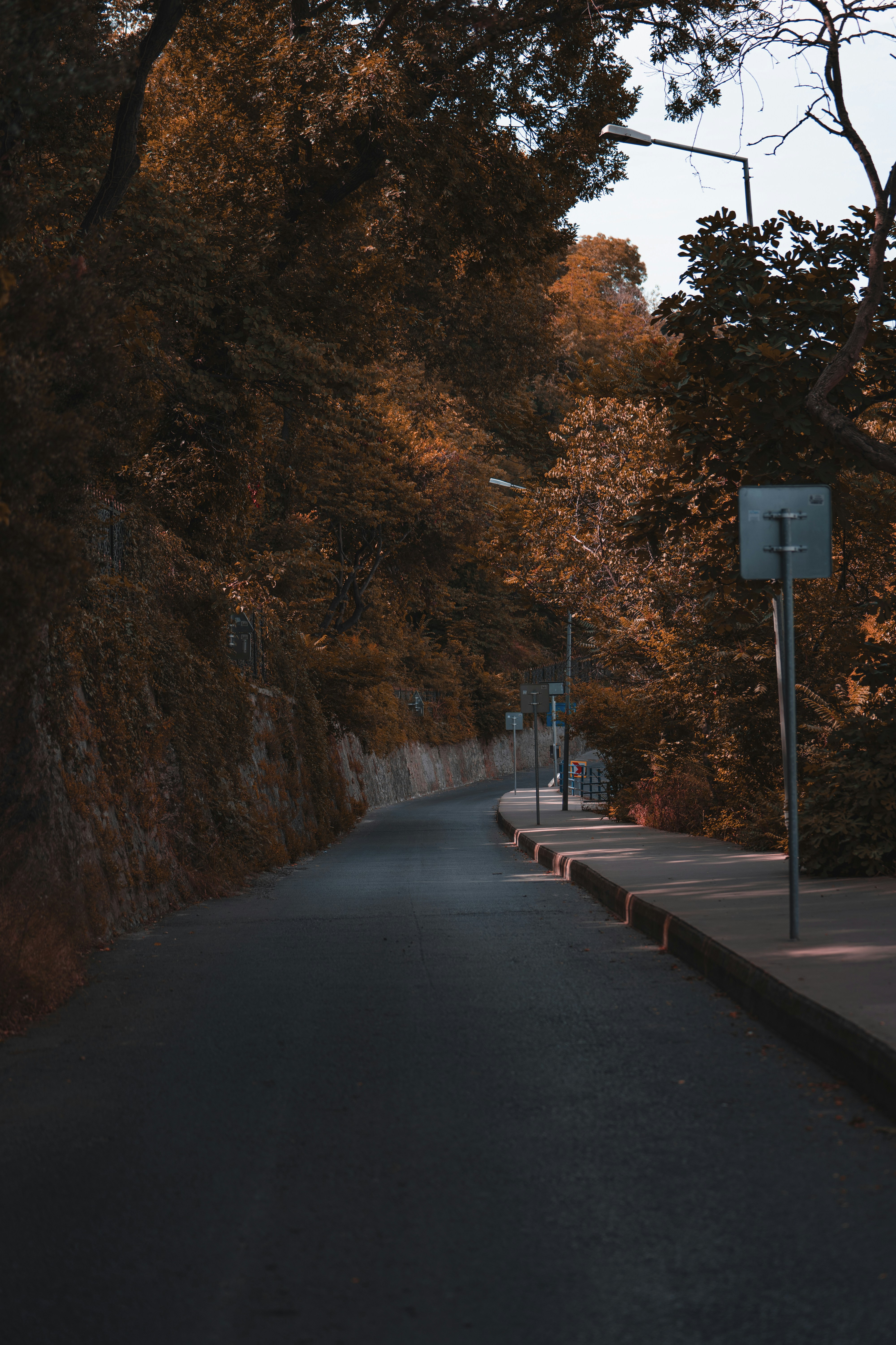 Photo by husien_bisky1