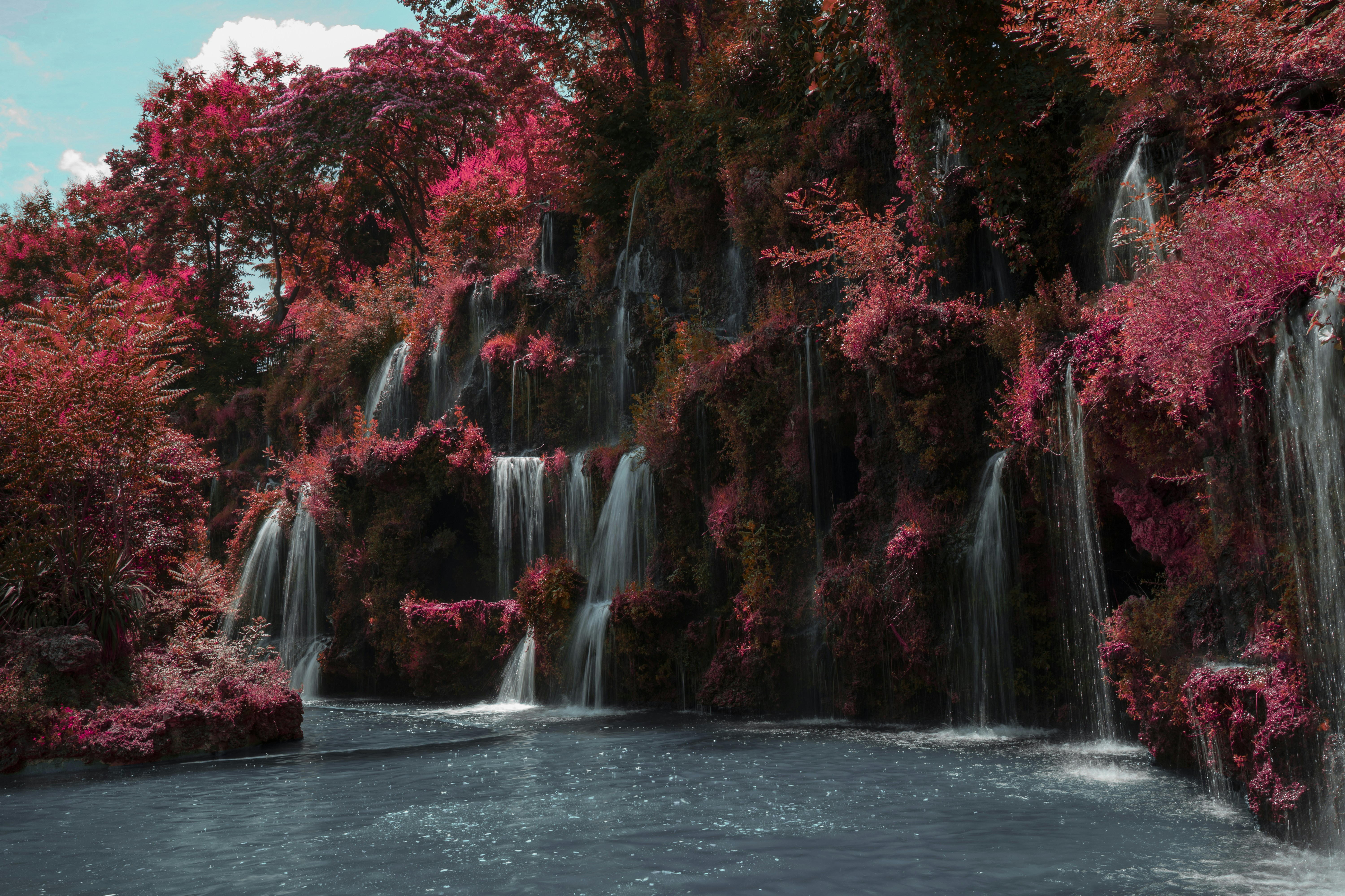 a waterfall with red leaves