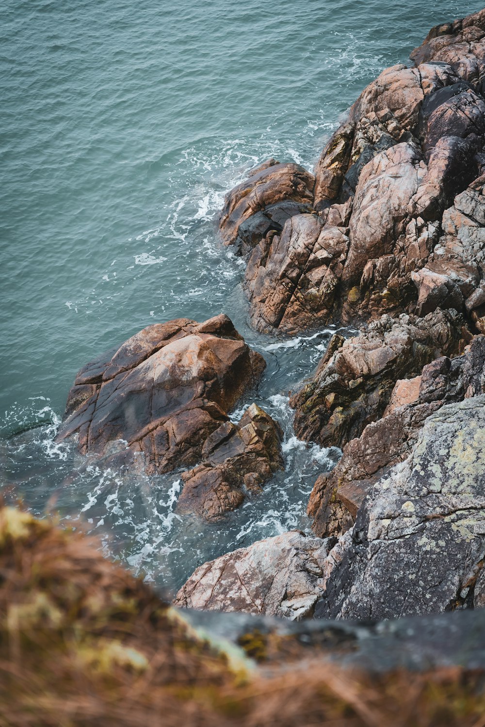 a rocky shoreline with water in the background