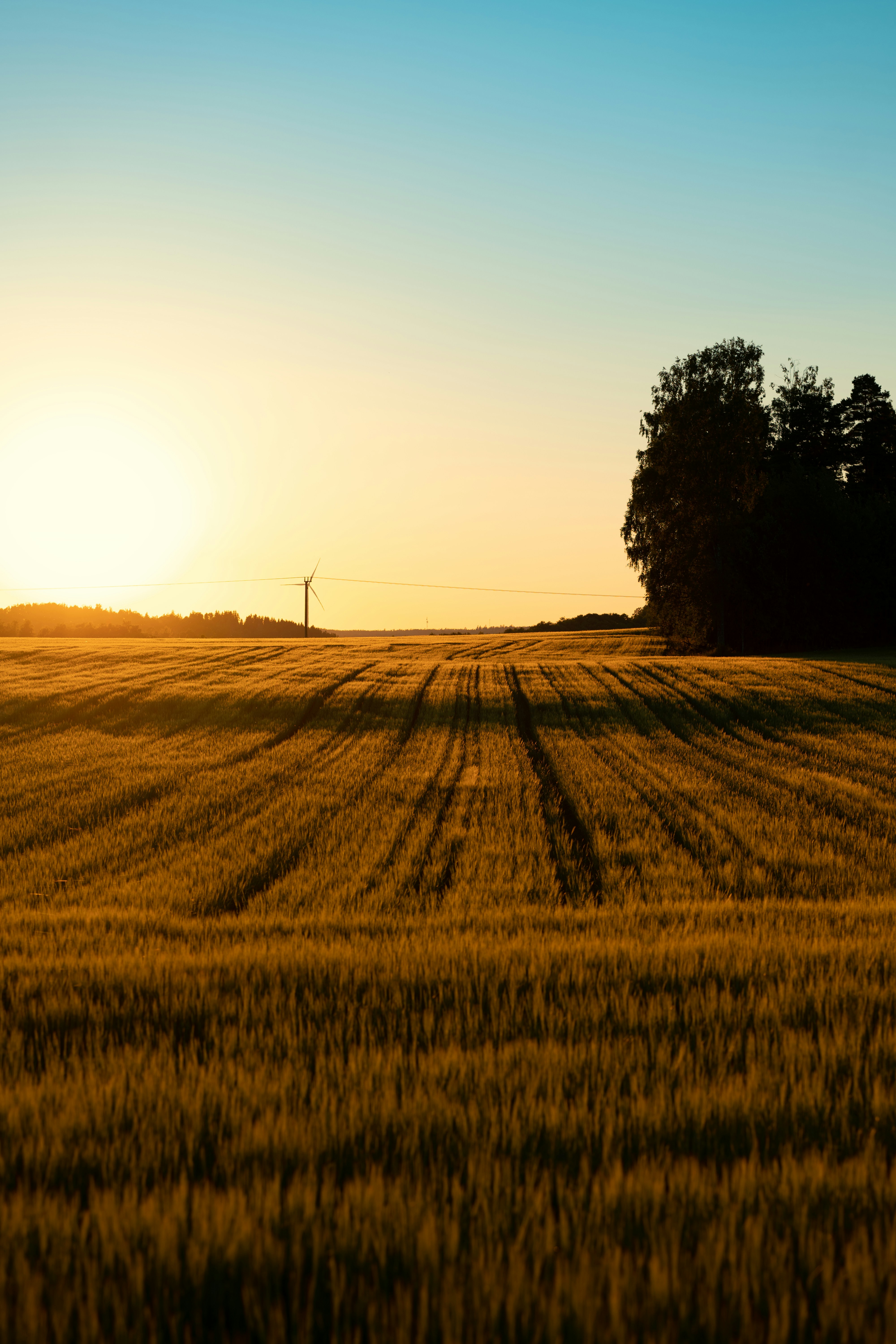 Photo by fredrikposse