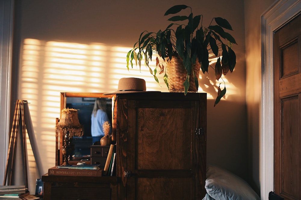 a television and a plant in a living room