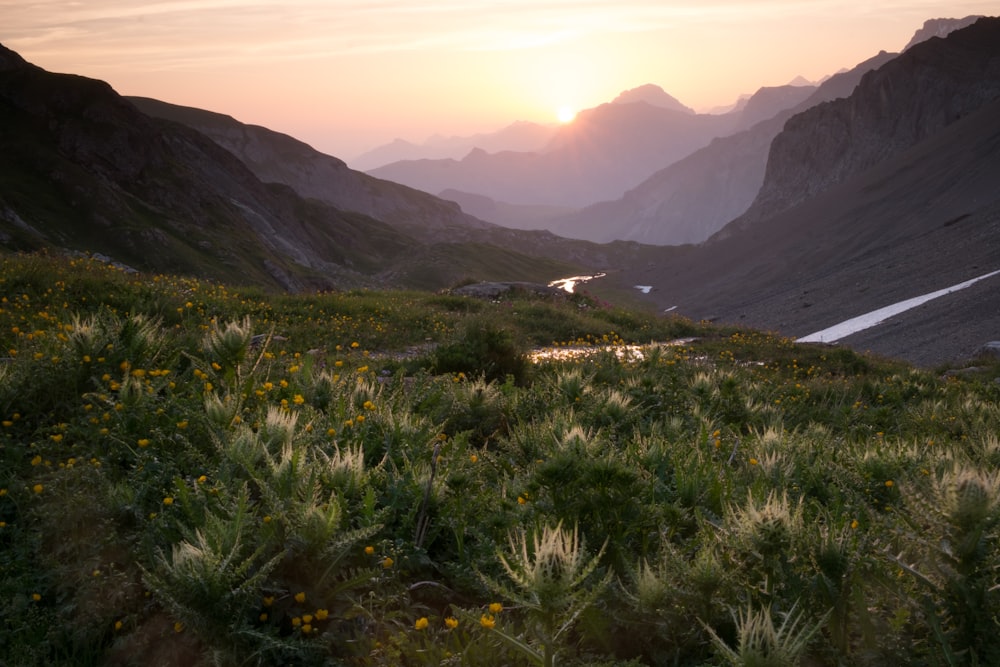 a road in the mountains