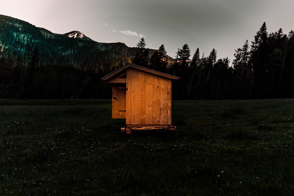 a wooden shed in a field