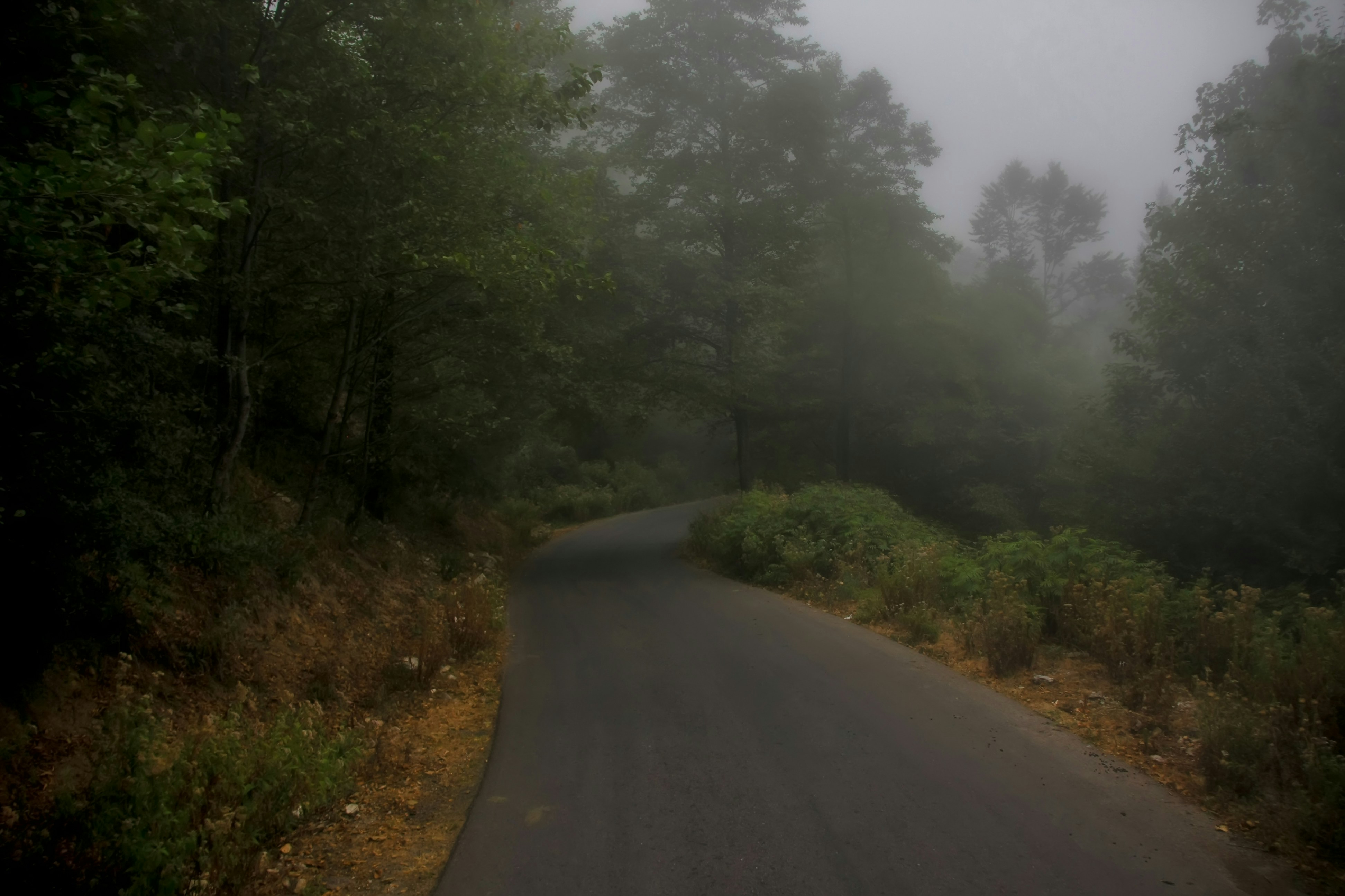 Photo by akbarnemati
