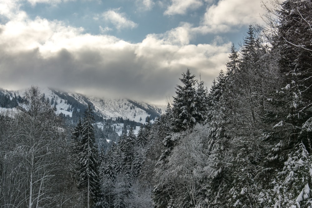 Eine verschneite Bergkette