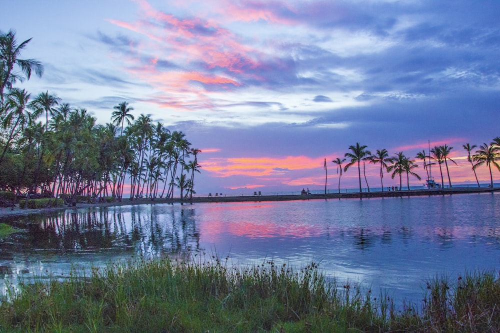 a body of water with trees and grass around it