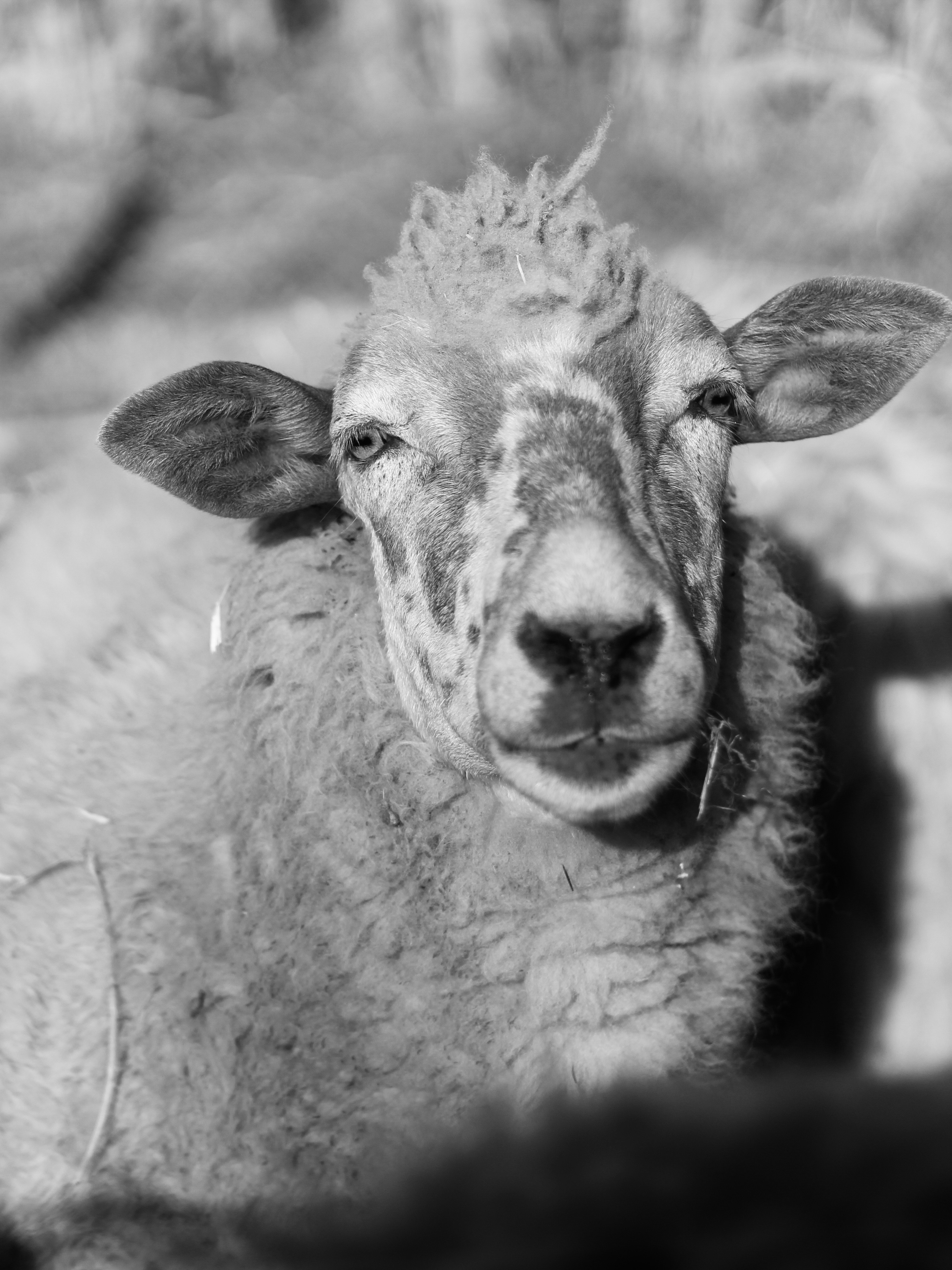 Photo by elizabeth_ph