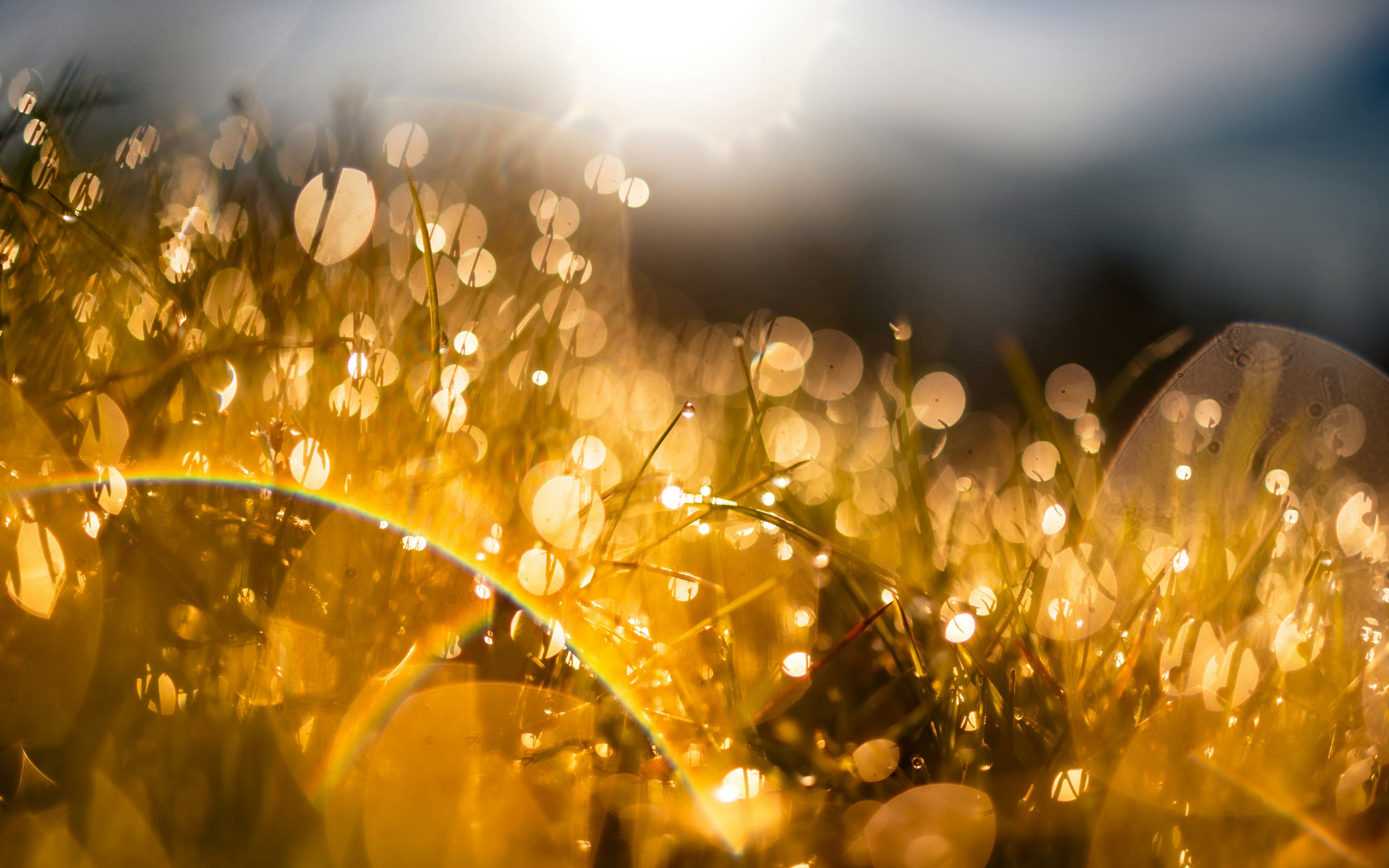 Photo by marekpiwnicki