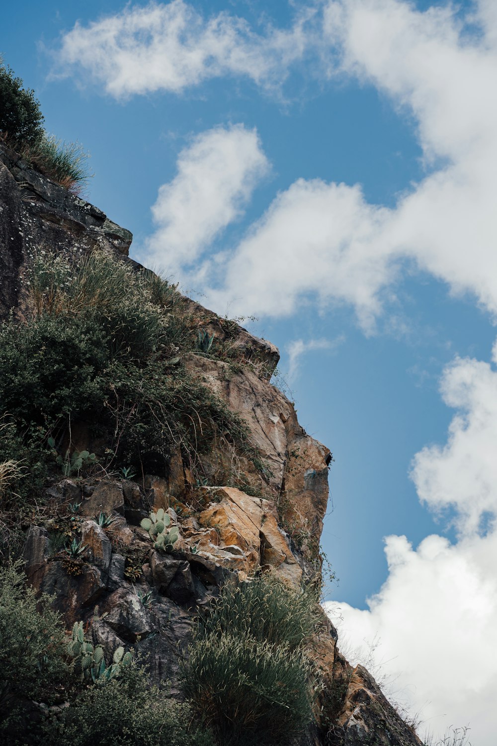 a rocky cliff with trees and blue sky