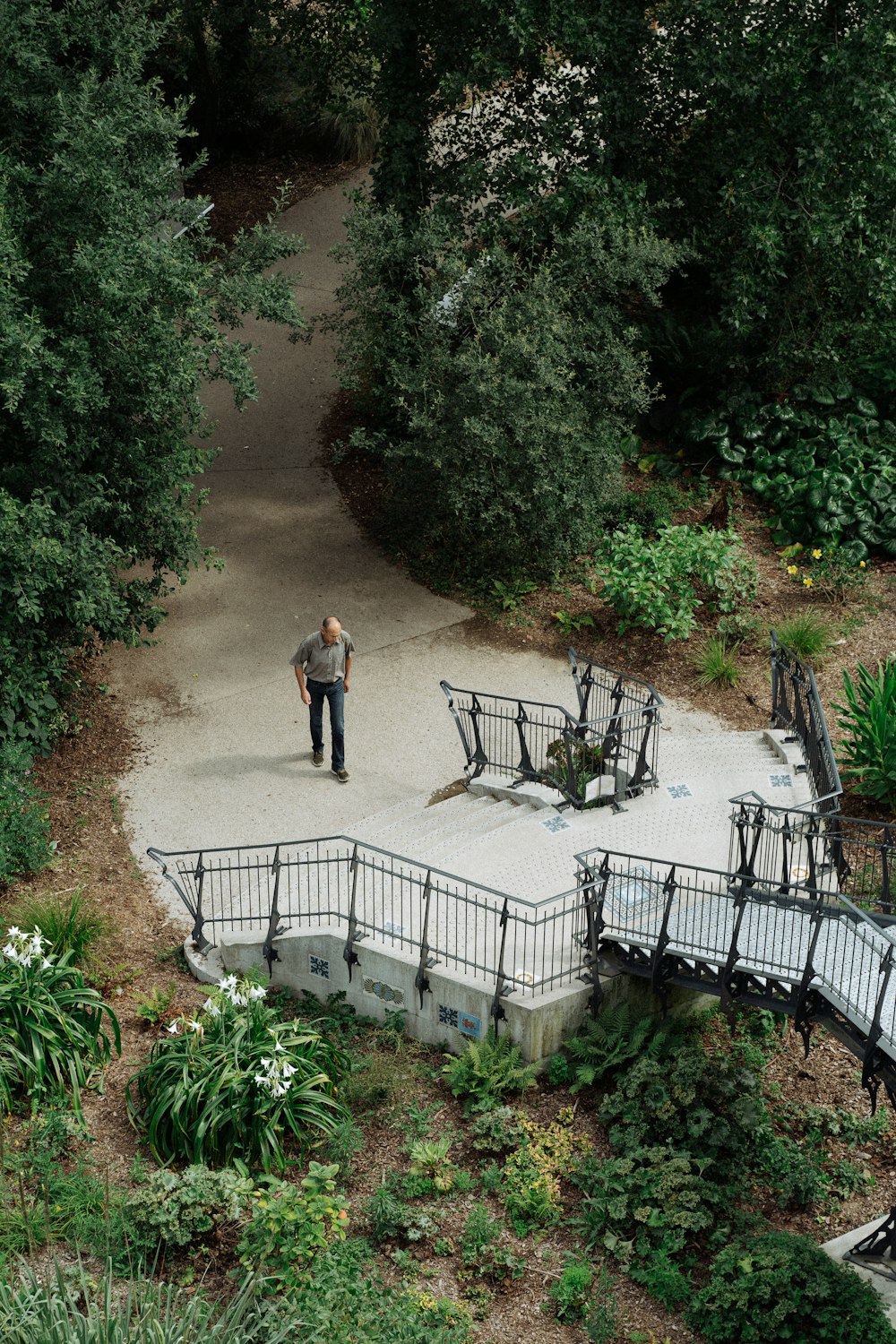 a person walking on a path in a park